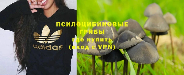 мяу мяу кристалл Алексин