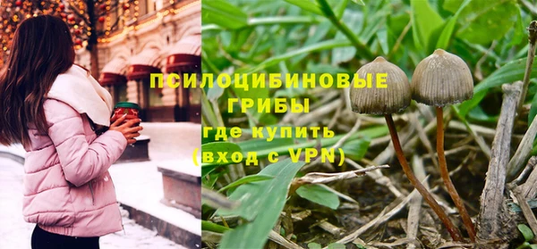 соль ск Алзамай