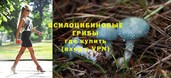 соль ск Алзамай