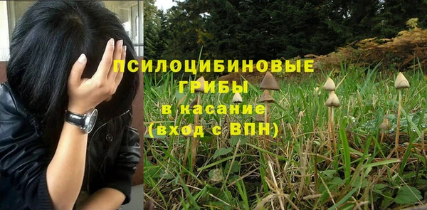 соль ск Алзамай