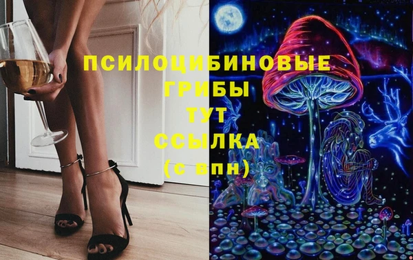 соль ск Алзамай