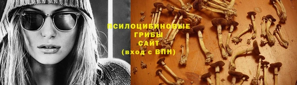 спайс Абаза